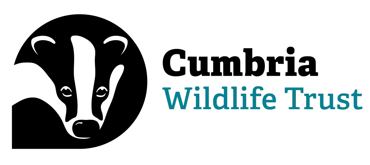 CUMBRIA Wildlife Trust logo 1200px
