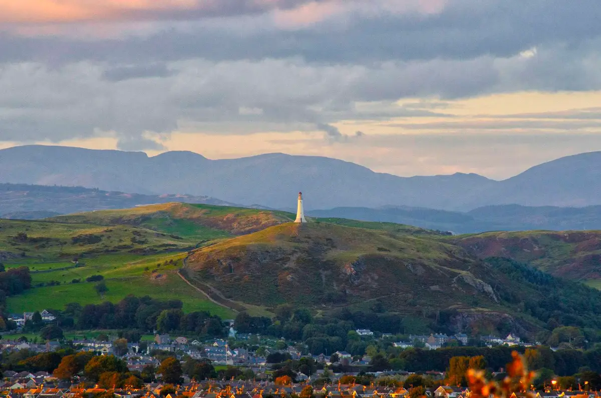 Hoad by Andrew Nicholaides