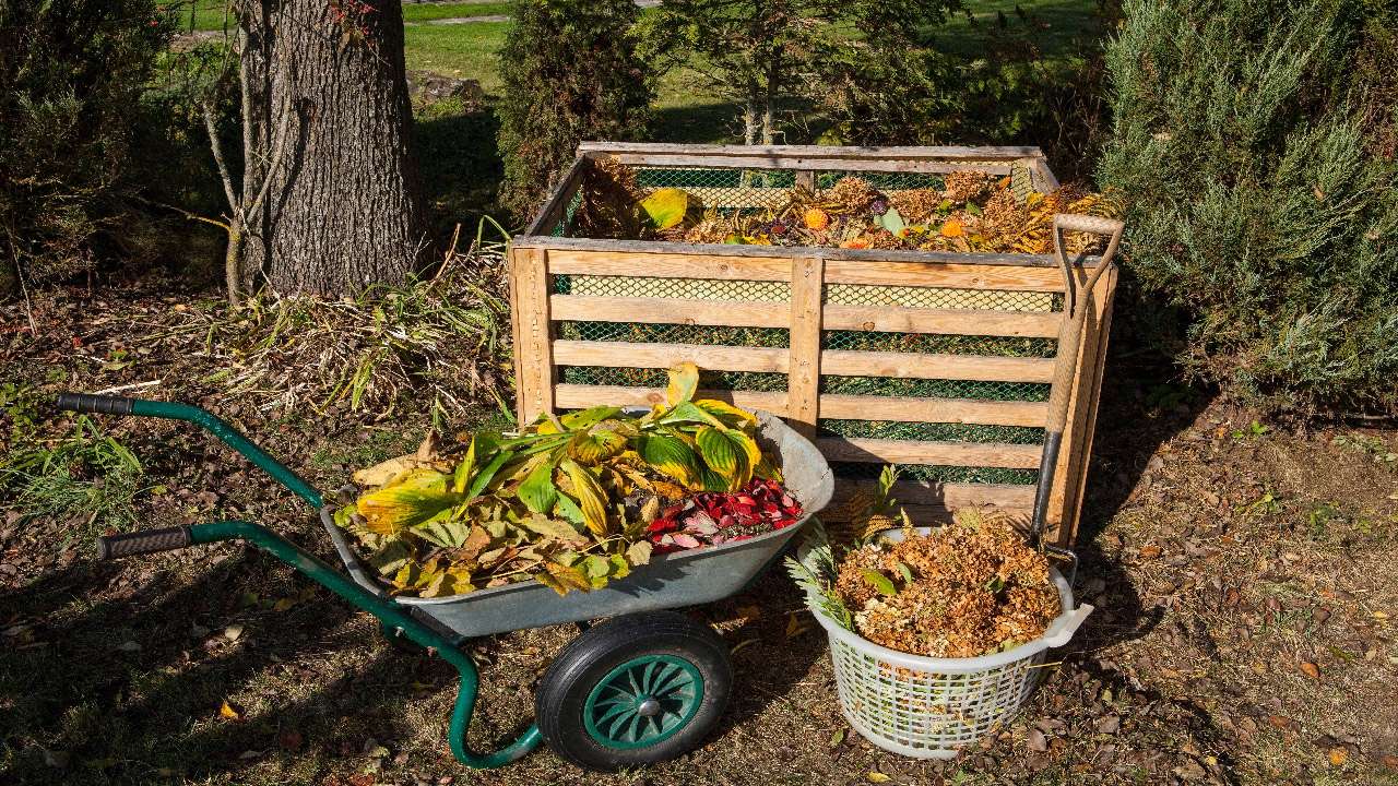 garden-composting